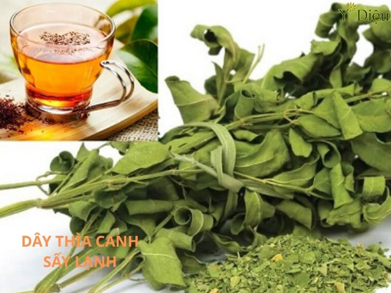 Lá thìa canh khô được sấy lạnh để giữ nguyên giá trị dinh dưỡng